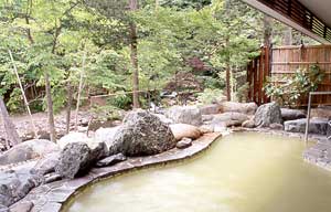 The open air bath