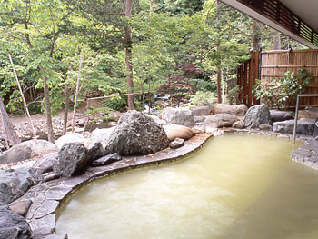 The open air bath